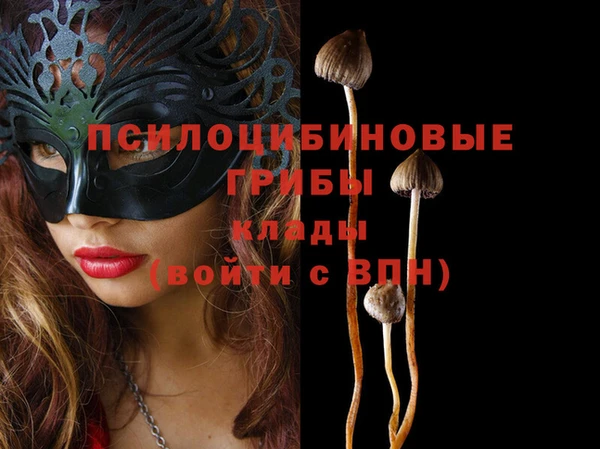 ECSTASY Абаза