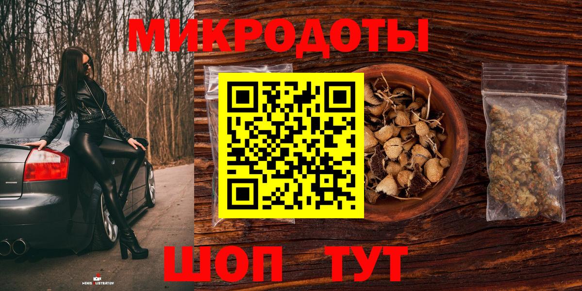 Галлюциногенные грибы Psilocybe Вичуга